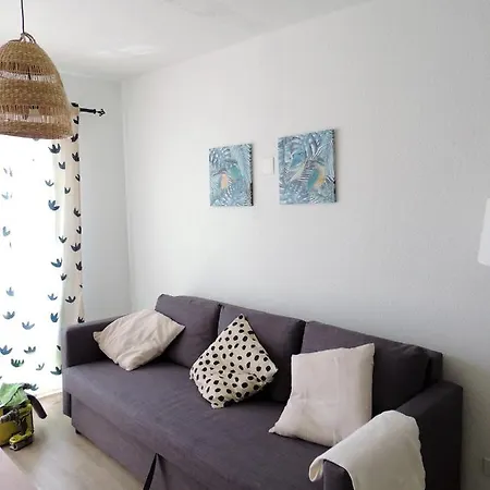 Mi Lugar Ftv Corralejo