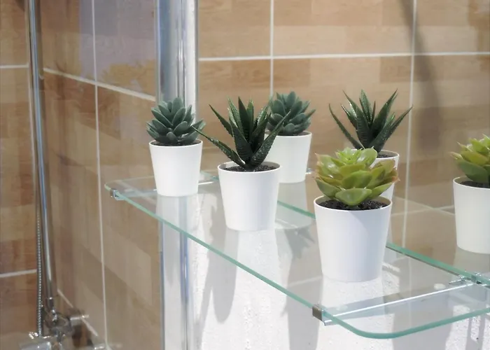 Mi Lugar Ftv Apartment