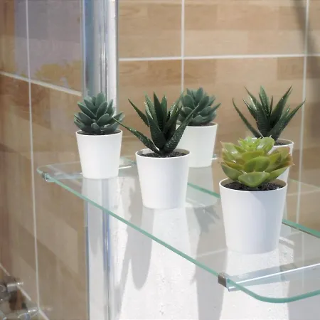 Mi Lugar Ftv Апартаменты